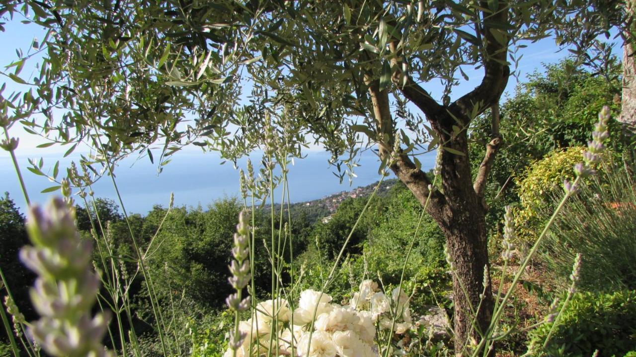 Castella Βίλα Poljane Εξωτερικό φωτογραφία